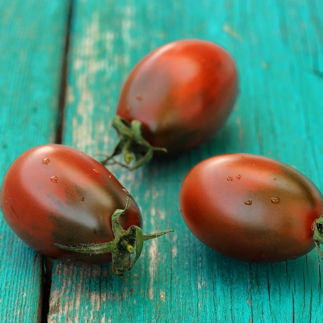 Tomato Seeds - Indeterminate - Ukrainian Purple - Alliance of Native Seedkeepers - Vegetable Seeds