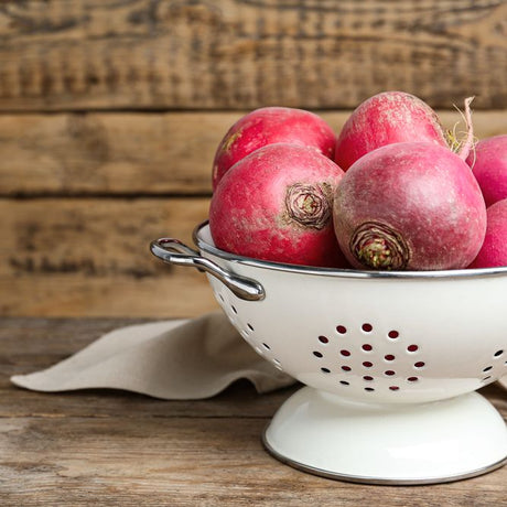 Turnip Seeds - Hidabeni - Alliance of Native Seedkeepers - Vegetable Seeds