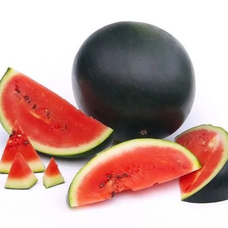 Bisque Watermelon Seeds - Vining - Black Diamond Alliance Of Native Seedkeepers Vegetable Seeds
