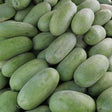 Watermelon Seeds - Vining - Charleston Grey - Alliance of Native Seedkeepers - Vegetable Seeds