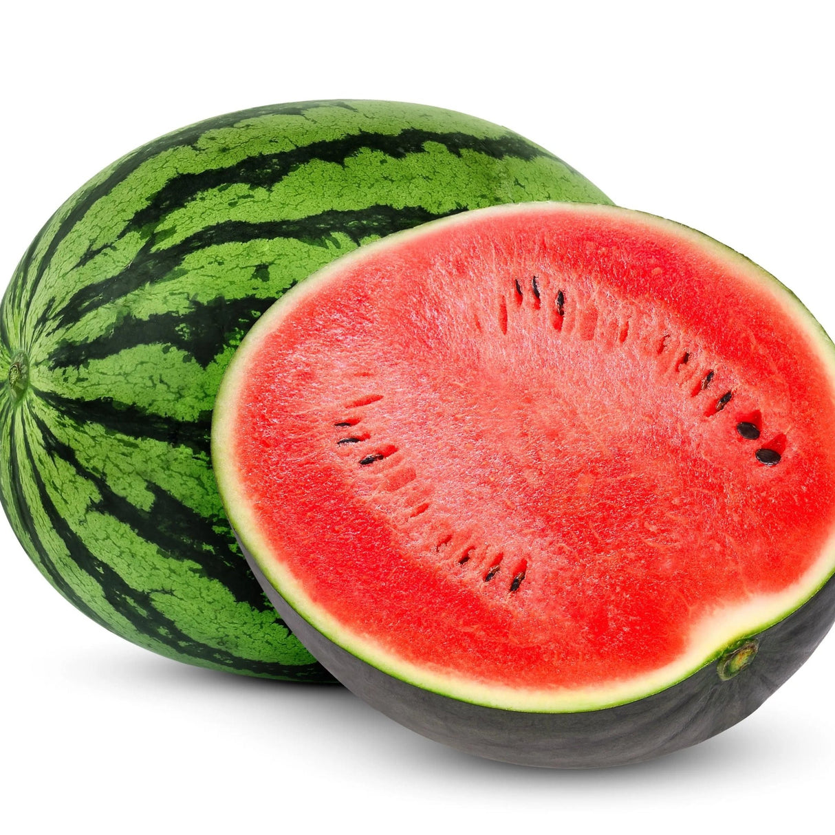 Watermelon Seeds - Vining - Dixie Queen - Alliance of Native Seedkeepers - Vegetable Seeds