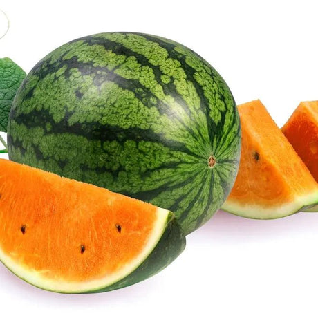 Watermelon Seeds - Vining - Tendersweet Orange - Alliance of Native Seedkeepers - Vegetable Seeds
