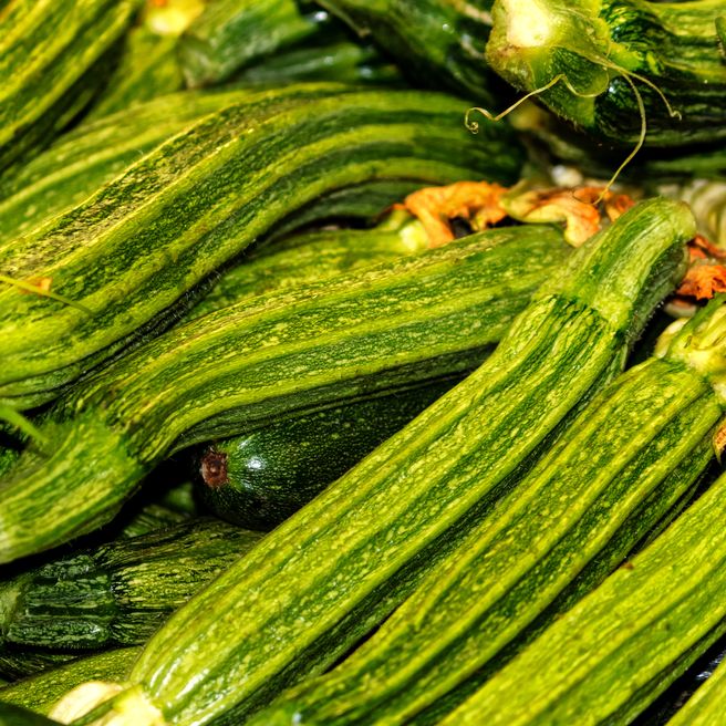 Zucchini Seeds - Summer - Bush - Costata Romanesco - Alliance of Native Seedkeepers - Vegetable Seeds