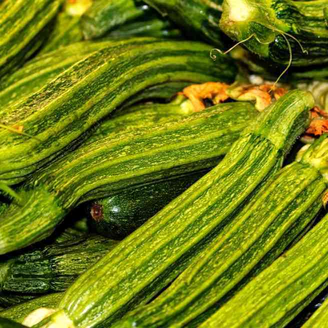 Costata Romanesco Zucchini Seeds