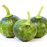 Zucchini Seeds - Summer - Bush - Ronde de Nice - Alliance of Native Seedkeepers - Vegetable Seeds