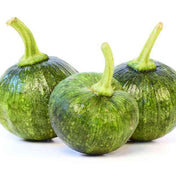 Zucchini Seeds - Summer - Bush - Ronde de Nice - Alliance of Native Seedkeepers - Vegetable Seeds