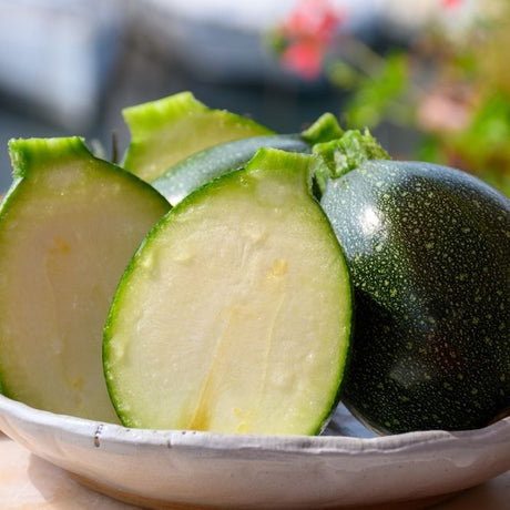 Zucchini Seeds - Summer - Bush - Round Zucchini - Alliance of Native Seedkeepers - Vegetable Seeds