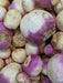 American Purple Top Rutabaga Seeds - Alliance of Native Seedkeepers - 1. All Vegetables