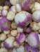American Purple Top Rutabaga Seeds - Alliance of Native Seedkeepers - 1. All Vegetables