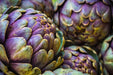 Artichoke Seed - Romanesco Seeds - Alliance of Native Seedkeepers - Artichoke