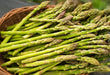 Asparagus Seeds - Mary Washington - Alliance of Native Seedkeepers - Asparagus