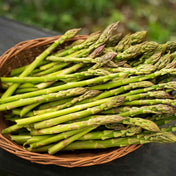 Asparagus Seeds - Mary Washington Asparagus - Alliance of Native Seedkeepers - Vegetable Seeds