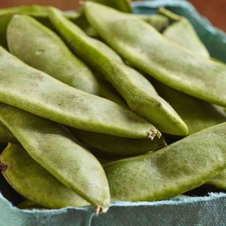Henderson’s Bush Lima Bean