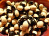 Bean Seeds - Calypso / Ying-Yang - Alliance of Native Seedkeepers - Beans