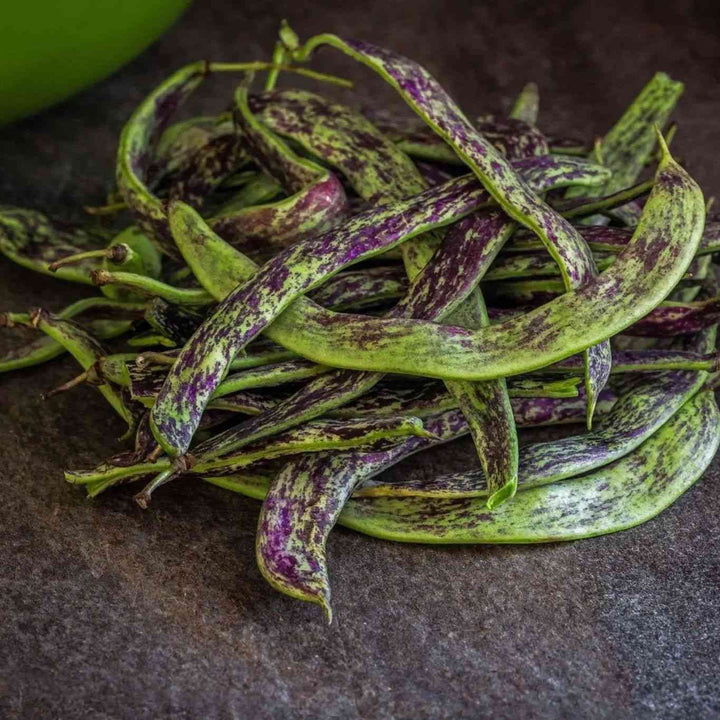 Dragon’s Tongue Wax Bean
