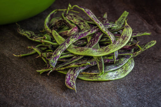 Bean Seeds - Dragon’s Tongue - Alliance of Native Seedkeepers - Beans