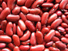 Bean Seeds - Light Red Kidney - Alliance of Native Seedkeepers - Beans