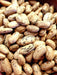 Bean Seeds - Rattlesnake - Alliance of Native Seedkeepers - Beans