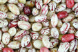 Bean Seeds - Taylor Dwarf Horticulture - Alliance of Native Seedkeepers - Beans