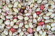 Bean Seeds - Taylor Dwarf Horticulture - Alliance of Native Seedkeepers - Beans