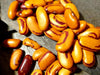 Bean Seeds - Tiger's Eye - Alliance of Native Seedkeepers - Beans