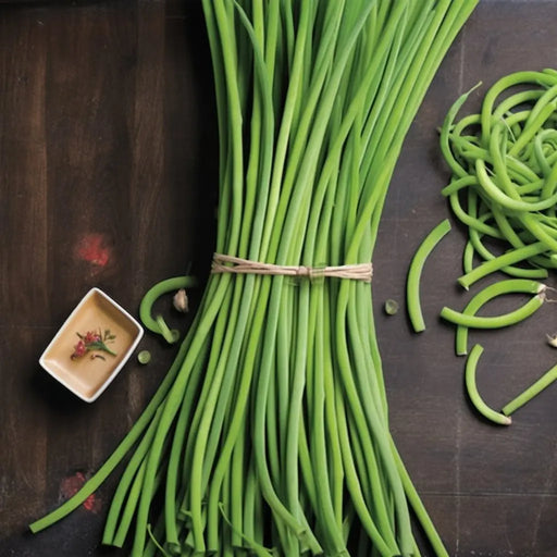 Black String Bean from Hopiland – Native-Seeds-Search
