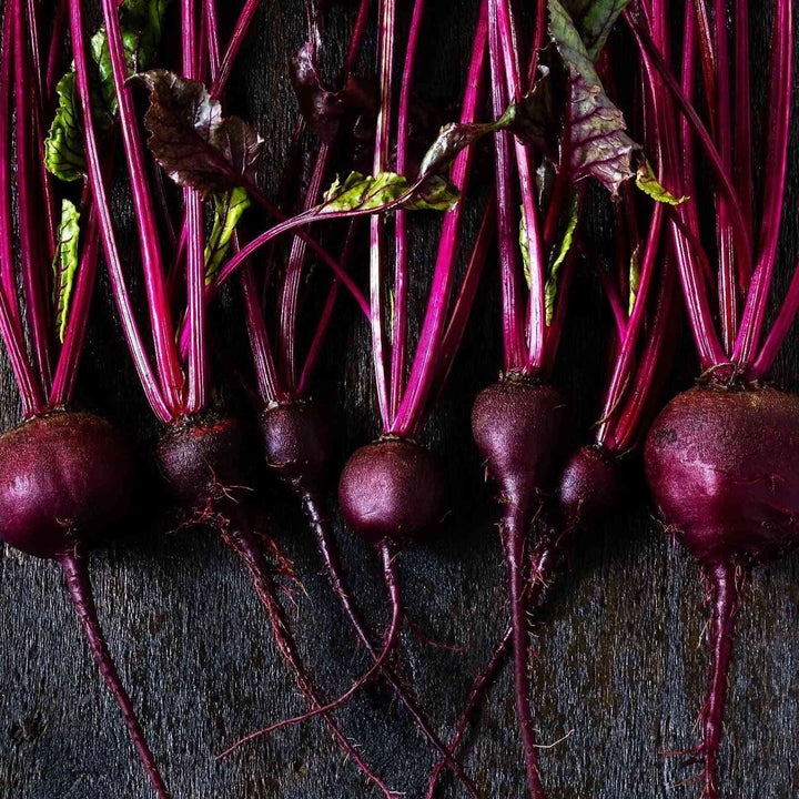 Bull's Blood Beet Seeds