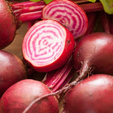 Beet Seeds - Chioggia Beet - Alliance of Native Seedkeepers - Vegetable Seeds