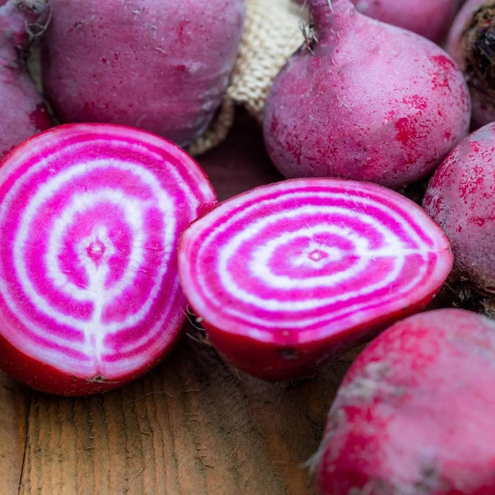 Beet Seeds - Chioggia Seeds - Alliance of Native Seedkeepers - Beets