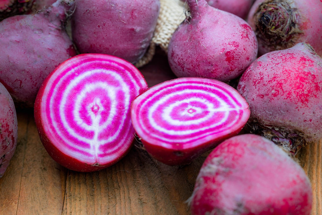 Beet Seeds - Chioggia Seeds - Alliance of Native Seedkeepers - Beets
