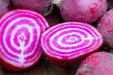 Beet Seeds - Chioggia Seeds - Alliance of Native Seedkeepers - Beets