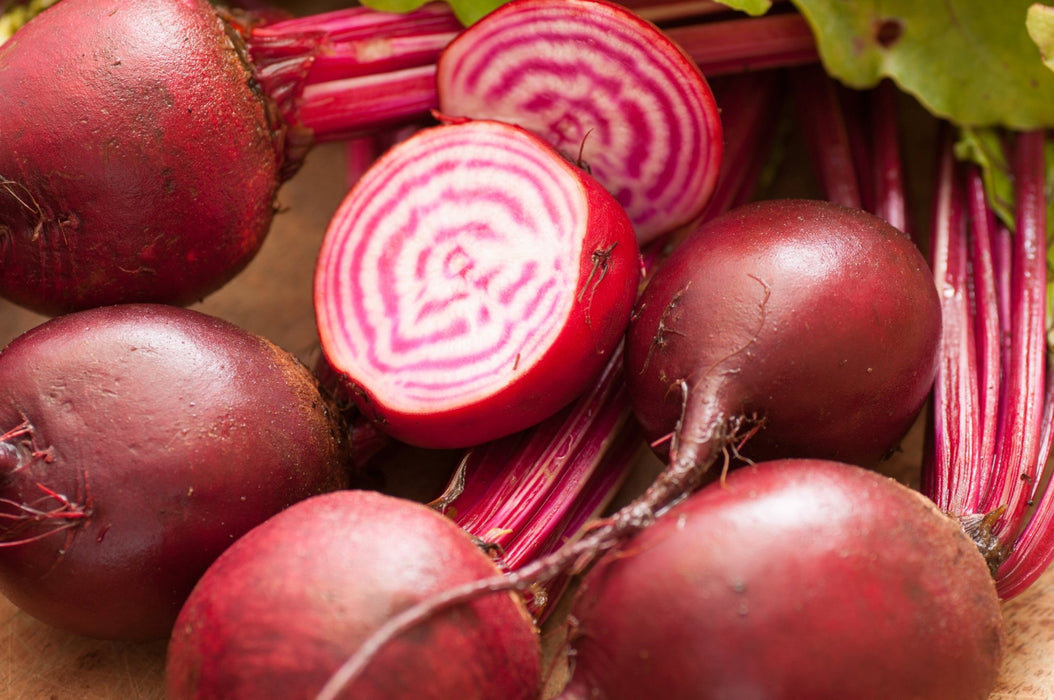 Beet Seeds - Chioggia Seeds - Alliance of Native Seedkeepers - Beets