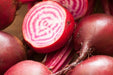 Beet Seeds - Chioggia Seeds - Alliance of Native Seedkeepers - Beets