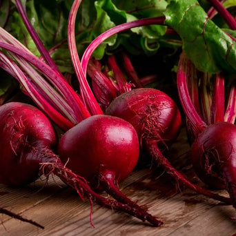 Beet Seeds - Detroit Dark Red Seeds - Alliance of Native Seedkeepers - Beets