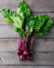 Beet Seeds - Early Wonder Tall Top - Alliance of Native Seedkeepers - 1. All Vegetables
