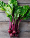 Beet Seeds - Early Wonder Tall Top - Alliance of Native Seedkeepers - 1. All Vegetables