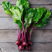 Beet Seeds - Early Wonder Tall Top - Alliance of Native Seedkeepers - Vegetable Seeds