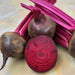 Beet Seeds - Ruby Queen - Alliance of Native Seedkeepers -