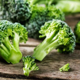 Broccoli Seeds - Green Sprouting Calabrese Broccoli - Alliance of Native Seedkeepers - Vegetable Seeds