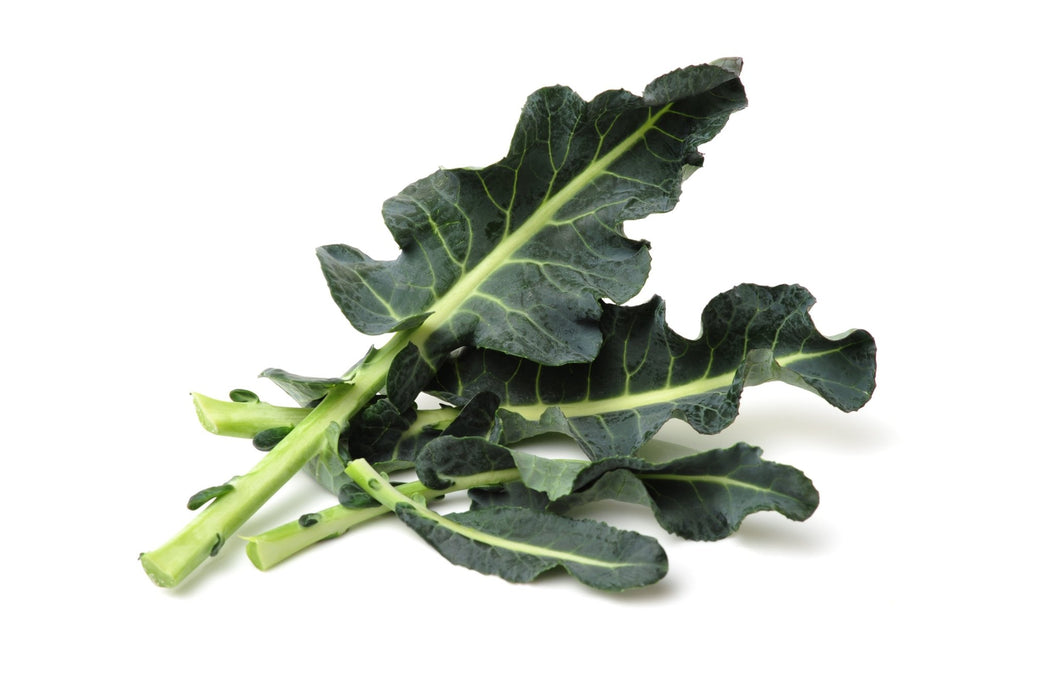 Broccoli Seeds - Spigariello Liscia Leaf - Alliance of Native Seedkeepers - Broccoli