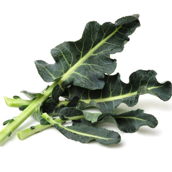 Broccoli Seeds - Spigariello Liscia Leaf - Alliance of Native Seedkeepers - Broccoli