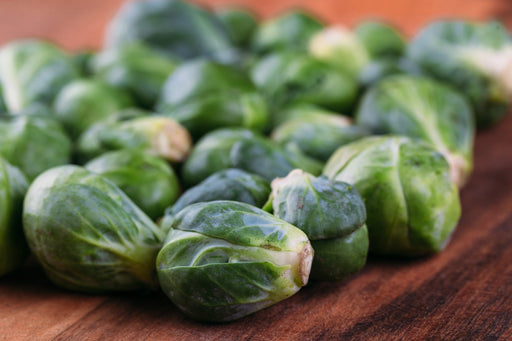 Brussels Sprouts Seeds - Long Island Improved - Alliance of Native Seedkeepers - Brussels Sprouts