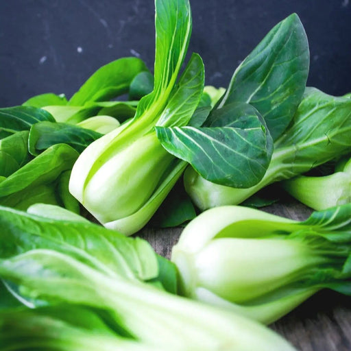 Cabbage Seeds - Bok Choy White Stemmed - Alliance of Native Seedkeepers - 1. All Vegetables