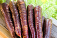 Carrot Seeds - Dragon - Alliance of Native Seedkeepers - 1. All Vegetables