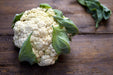 Cauliflower Seeds - Snowball Y Improved - Alliance of Native Seedkeepers - 1. All Vegetables