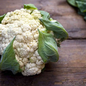 Cauliflower Seeds - Snowball Y Improved Cauliflower - Alliance of Native Seedkeepers - Vegetable Seeds