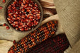 Corn Seeds - Bloody Butcher - Alliance of Native Seedkeepers - Corn