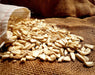 Corn Seeds - Cherokee Tooth Corn - Alliance of Native Seedkeepers - 1. All Vegetables