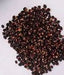 Corn Seeds - Dakota Black Popcorn - Alliance of Native Seedkeepers - Corn