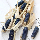 Corn Seeds - Flour - Hopi Blue Corn - Alliance of Native Seedkeepers - Vegetable Seeds